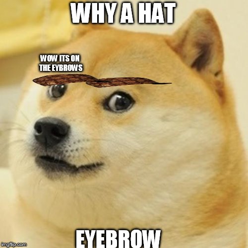 Doge Meme Imgflip
