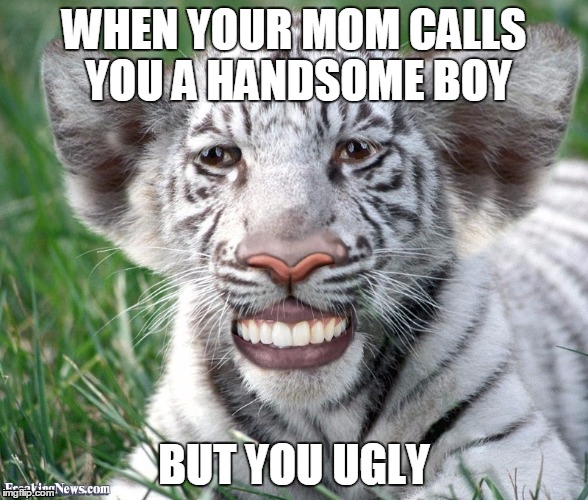 Easy Tiger Meme