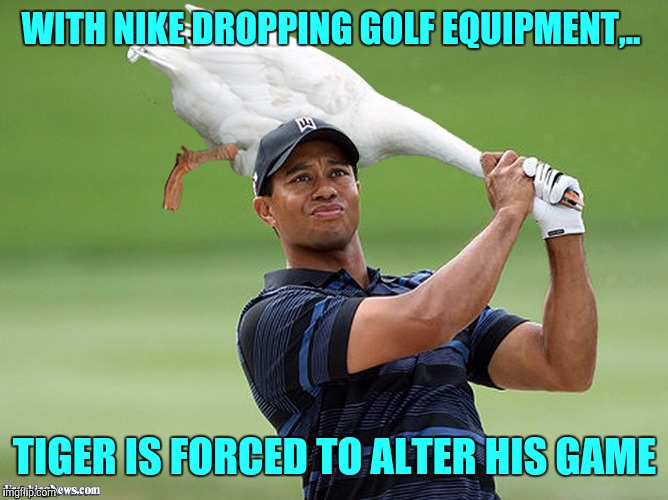 I never used Nike clubs anyways. Imgflip