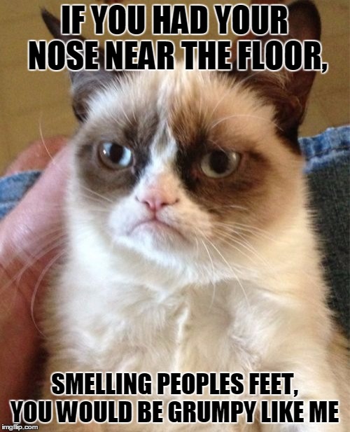 Grumpy Cat Meme Imgflip