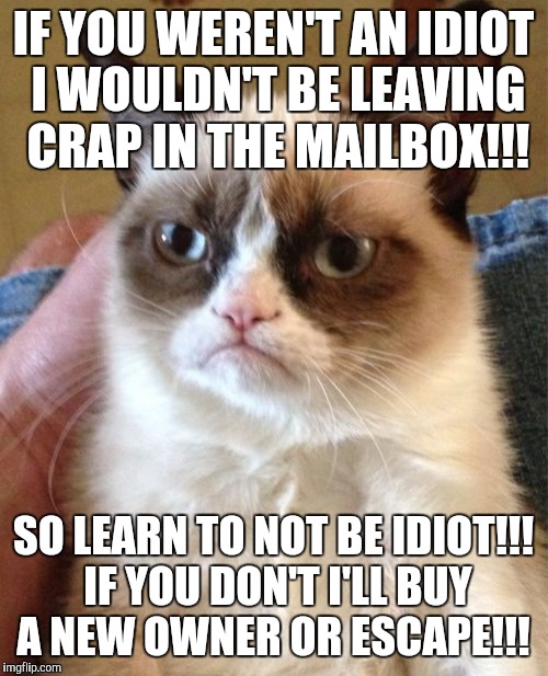 Grumpy Cat Meme Imgflip