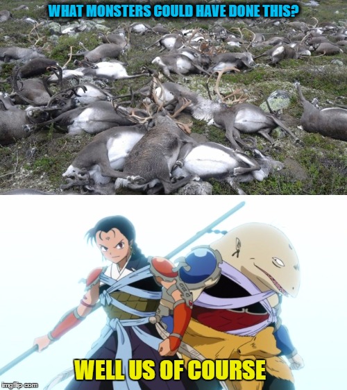 Reindeer killed by lightning Imgflip