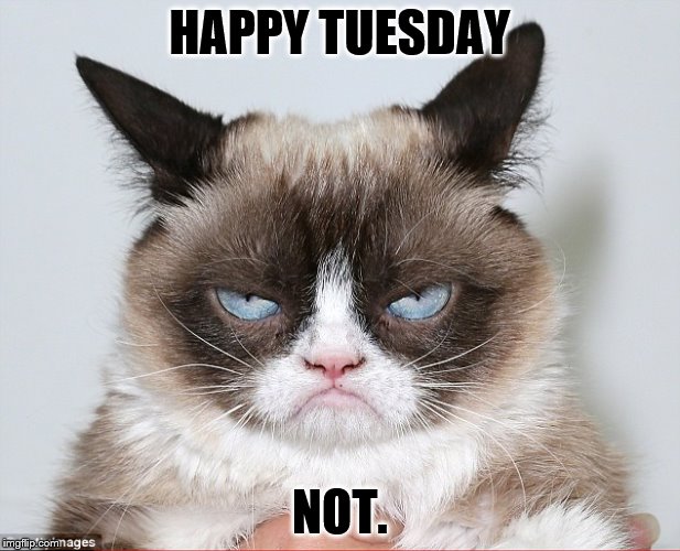 Happy Tuesday Imgflip