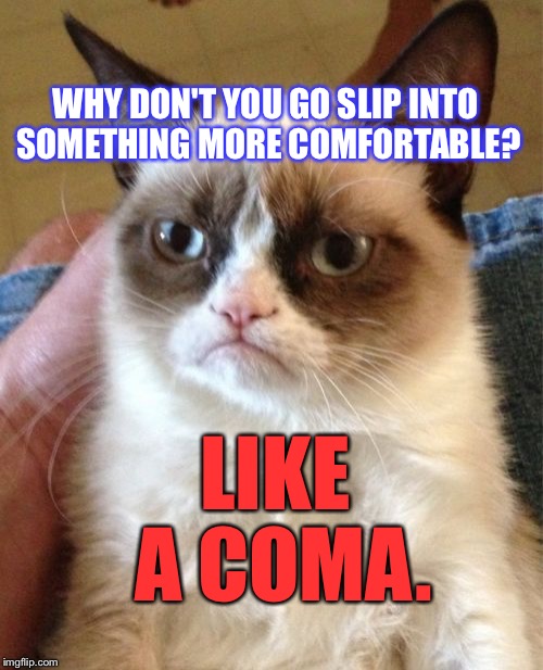 Grumpy Cat Meme Imgflip
