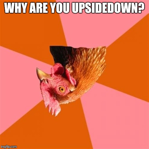 Anti Joke Chicken Meme Imgflip