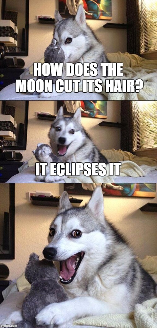 Bad Pun Dog Meme Imgflip
