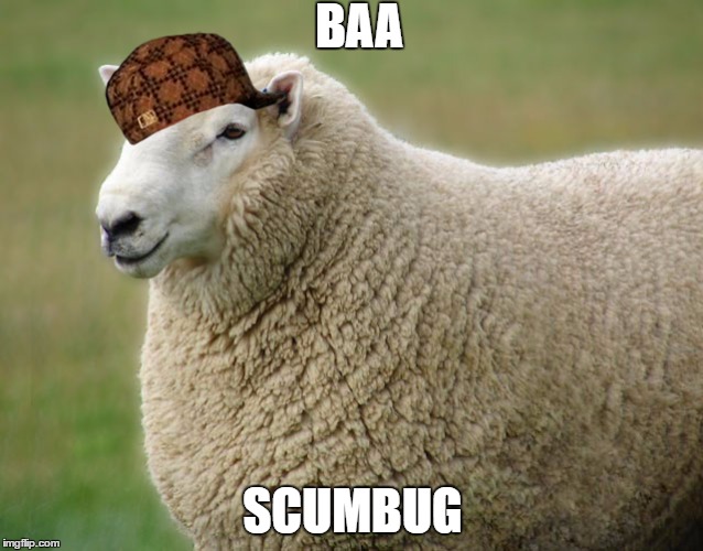 sheepy Imgflip