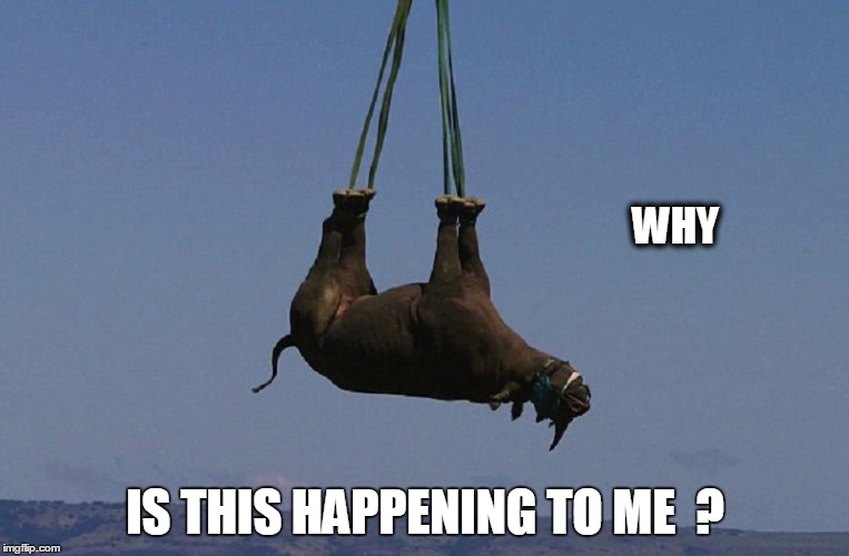 why is this happening ? Imgflip