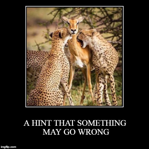 Image tagged in we can learn something new anytime we believe we can,i