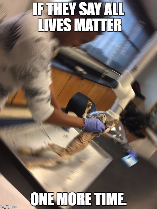 Image tagged in all lives matter Imgflip