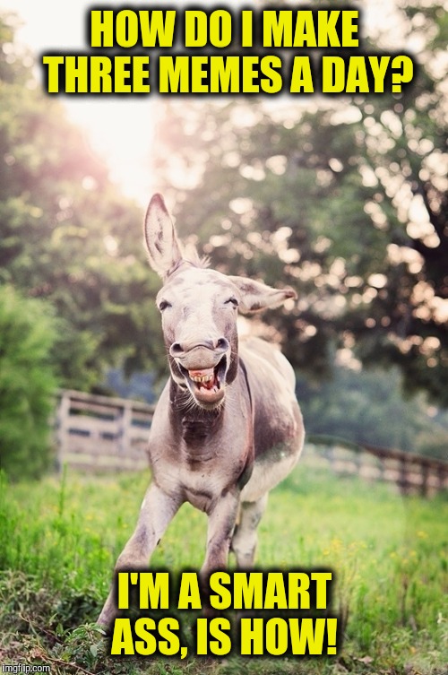 Donkey Meme Im All Alone apsgeyser