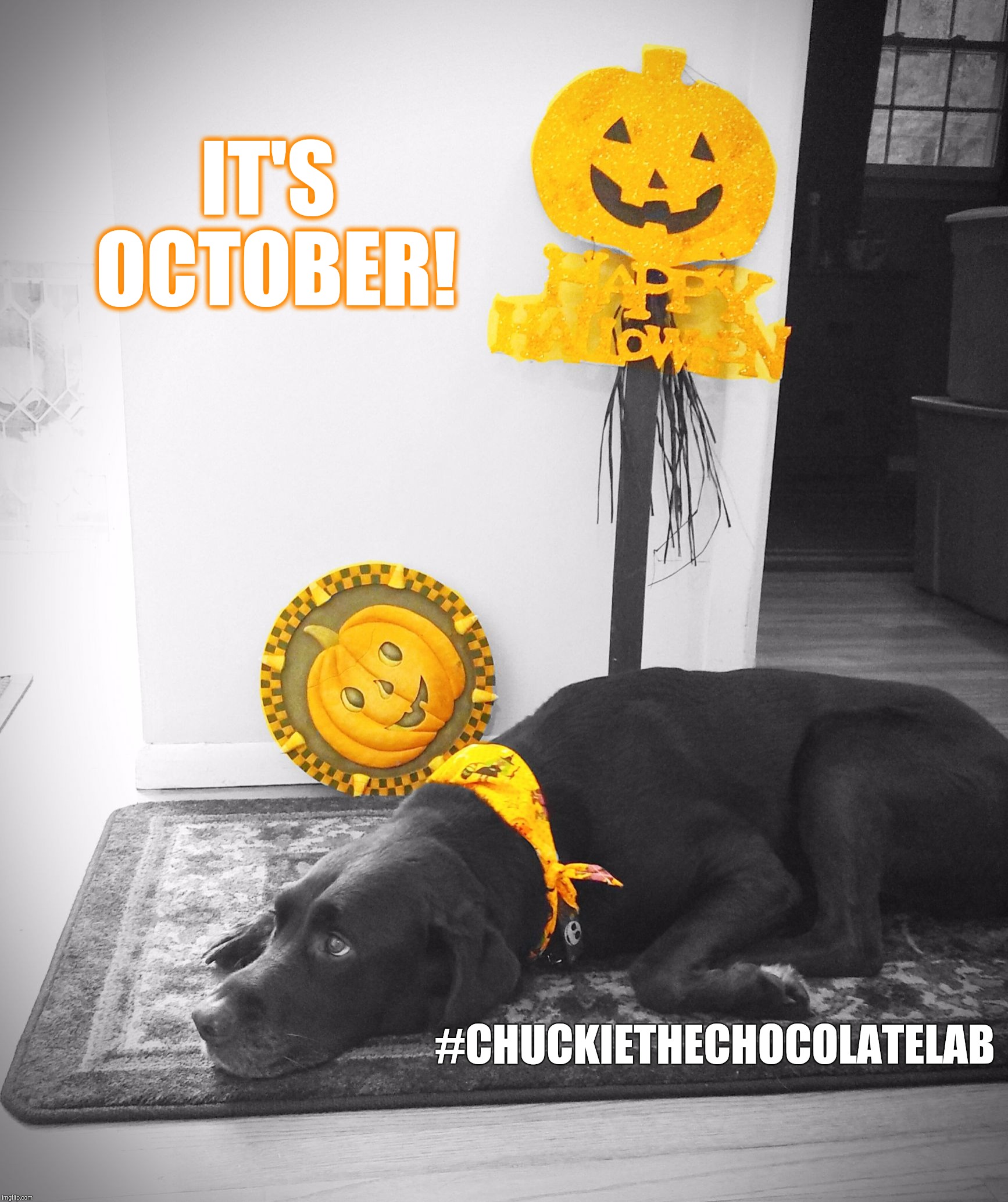 It's October! Imgflip