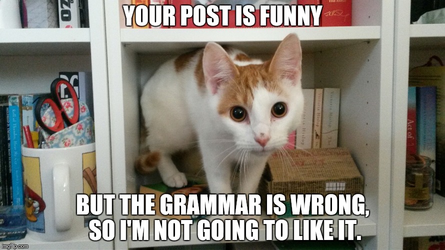 Grammar police! Imgflip
