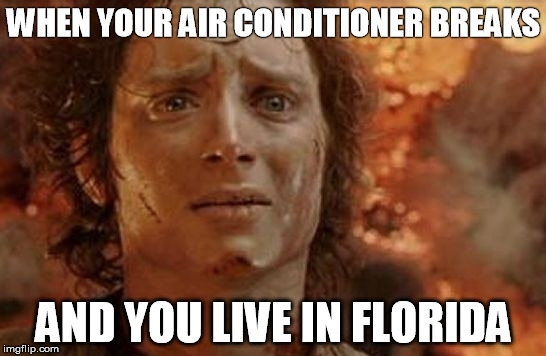 Florida Burns Us! Imgflip