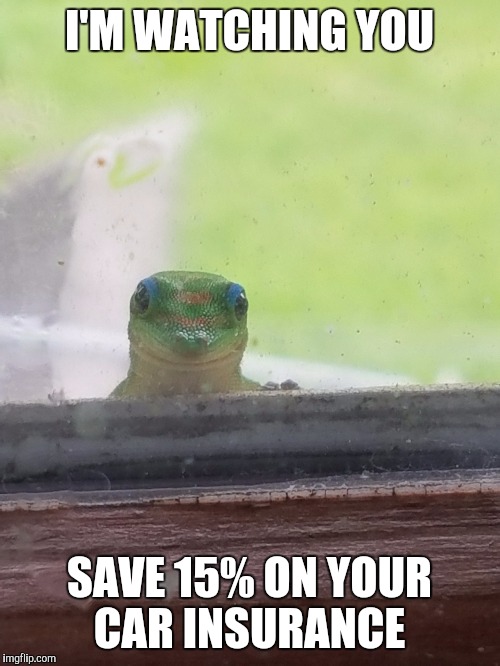 Imgflip