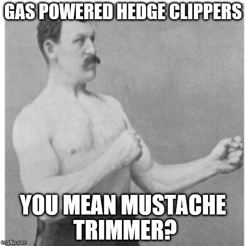 Overly Manly Man Meme Imgflip