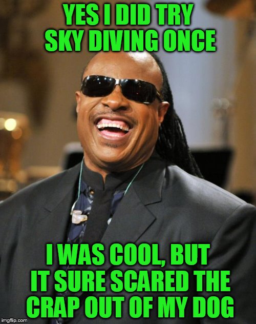 Stevie Wonder Imgflip