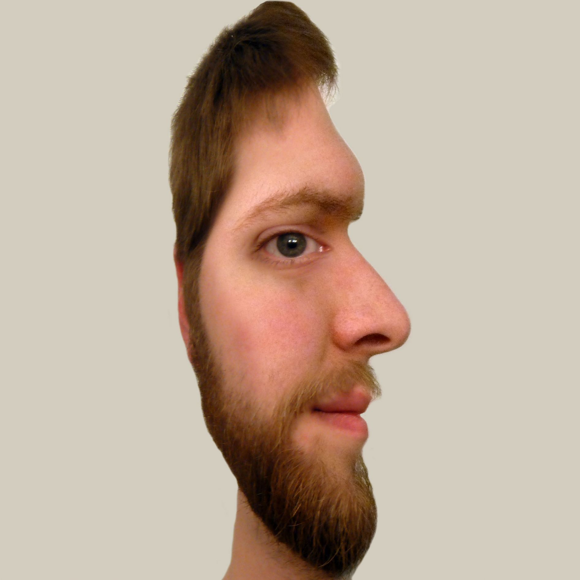 Two faced man Memes Imgflip
