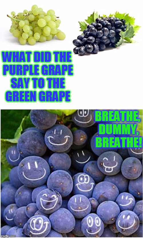 grapes Imgflip
