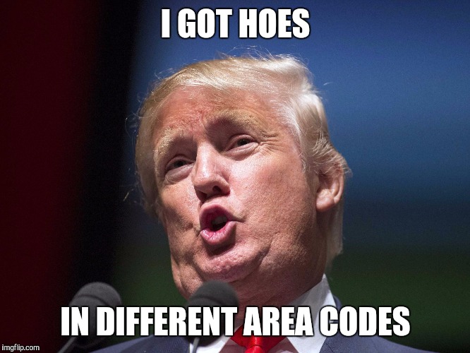 I Got Hoes In Different Area Codes Love Meme