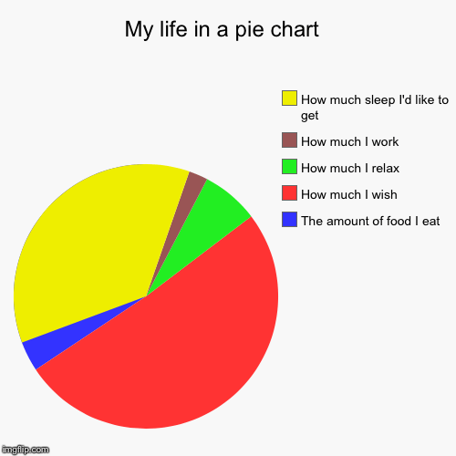 My life in a pie chart Imgflip