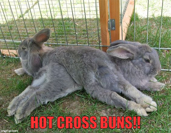 Hot Cross Imgflip