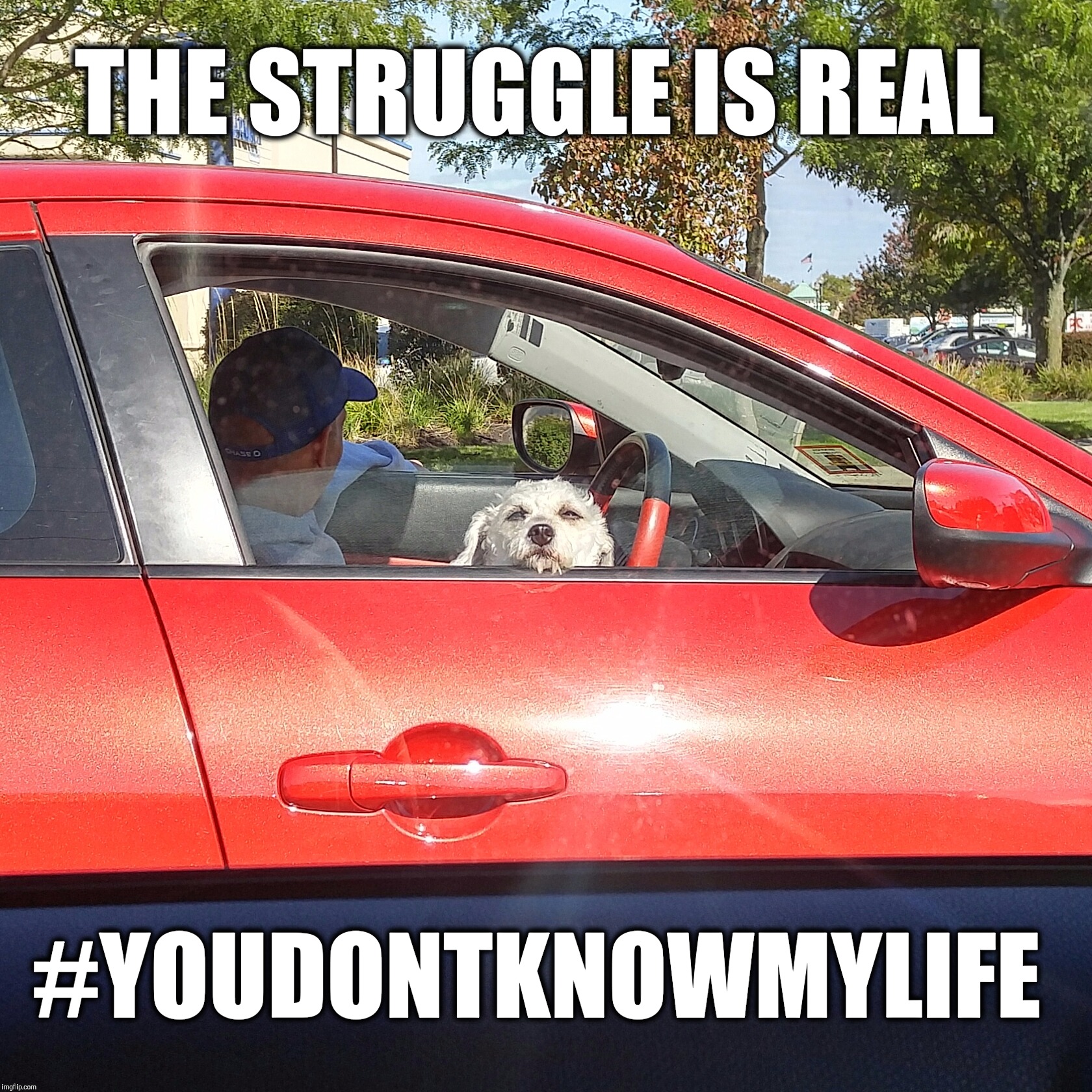 The struggle is real Imgflip