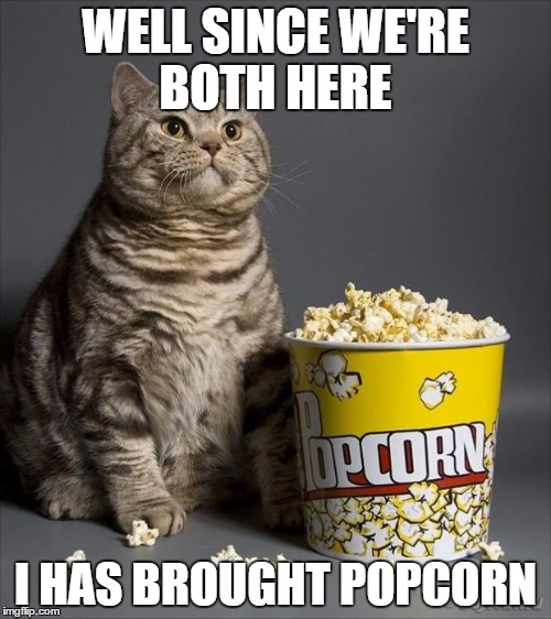 Cat eating popcorn Imgflip