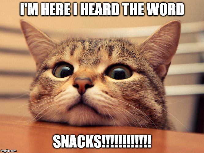 Snack kitty Imgflip