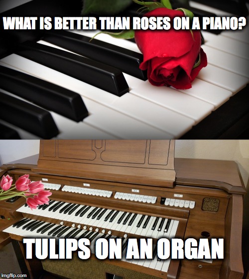 What's Better Than Roses on a Piano Imgflip