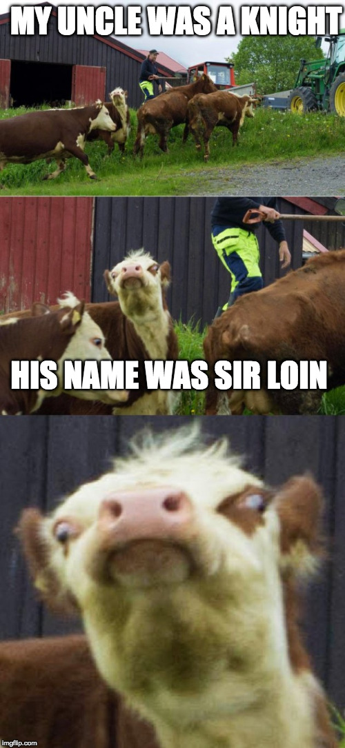 I like my jokes well done, but my steaks medium rare. Imgflip