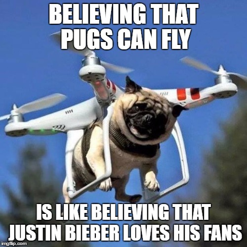 Flying Pug Imgflip