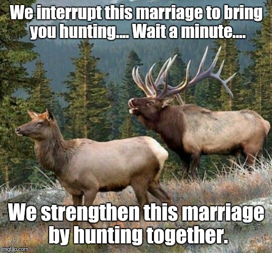 Hunting Imgflip