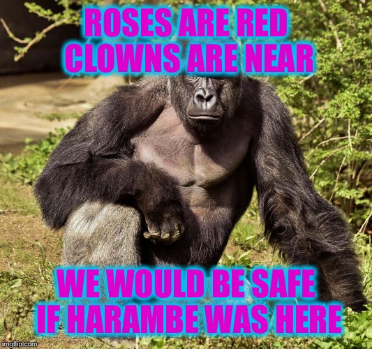 Image tagged in harambe Imgflip