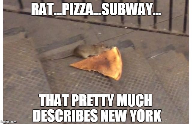 New York in one picture Imgflip
