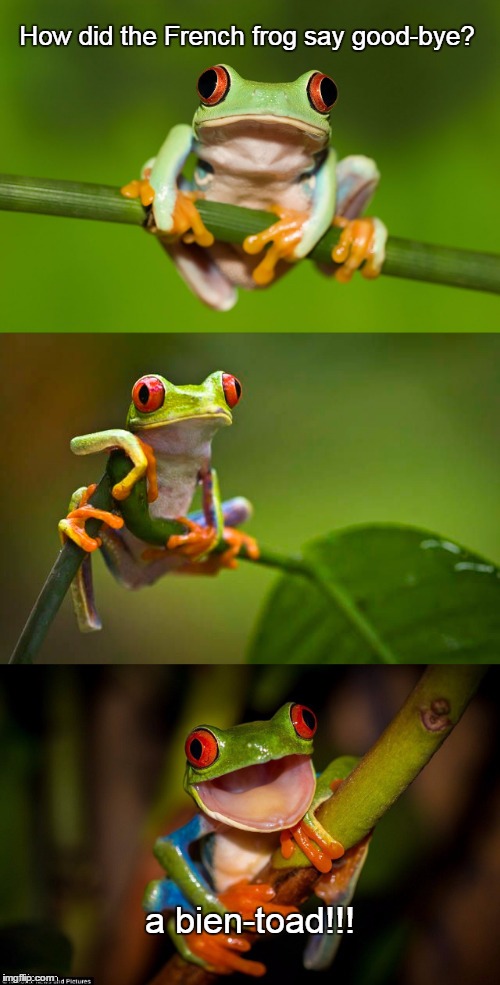 How Do You Say Frog In French at Mark Cheek blog