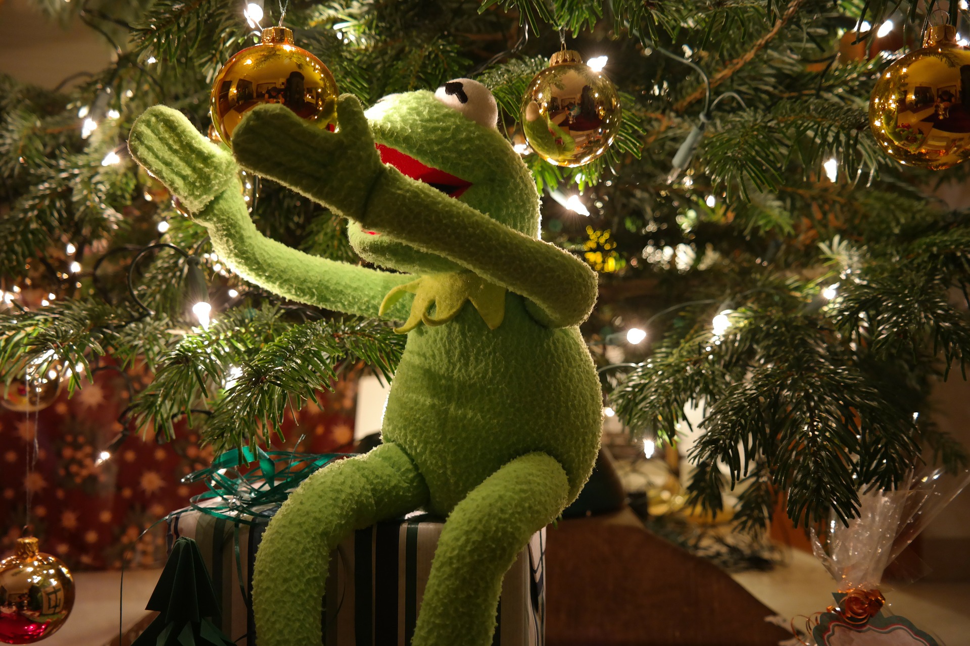 kermit christmas ball Blank Template Imgflip