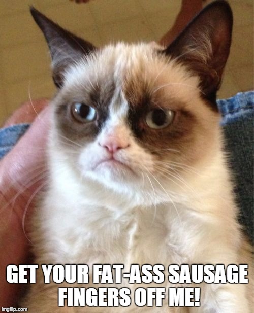 Grumpy Cat Meme Imgflip