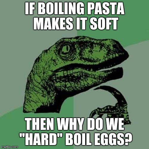 Philosoraptor Meme Imgflip