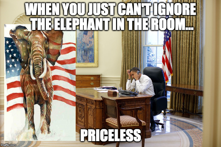 Image tagged in bo and the elephant Imgflip