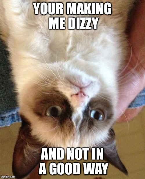 Grumpy Cat Meme Imgflip
