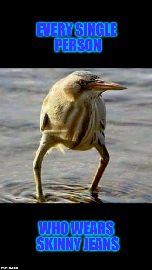 skinny jeans Imgflip