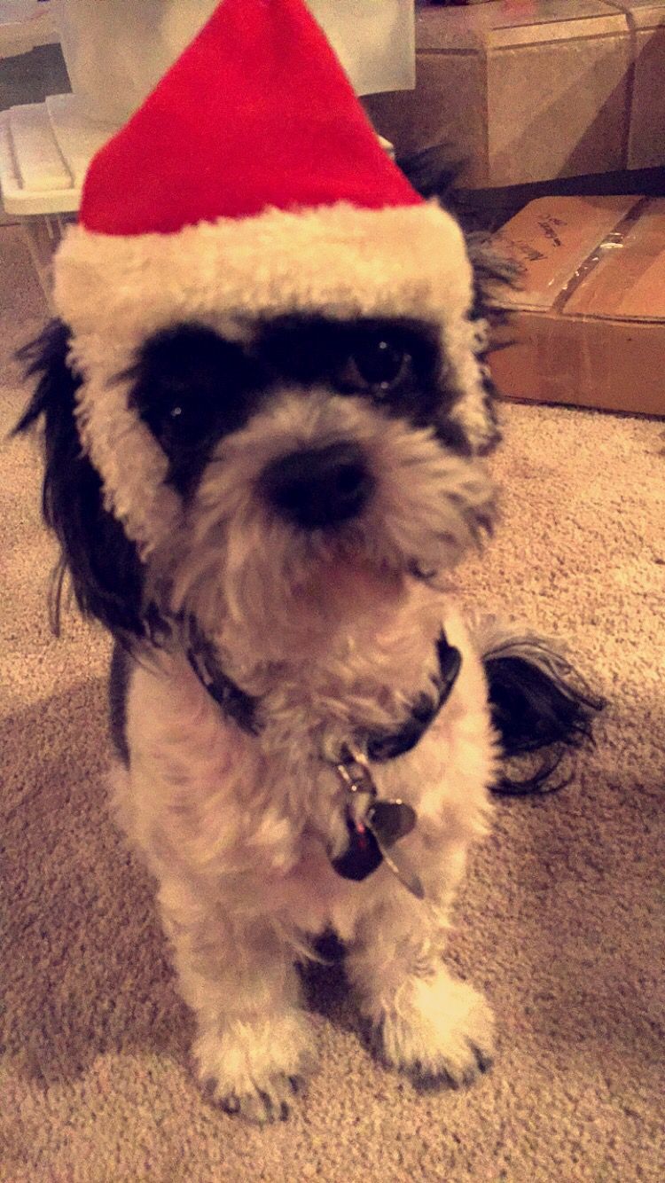 "thanksgiving" Meme Templates Imgflip