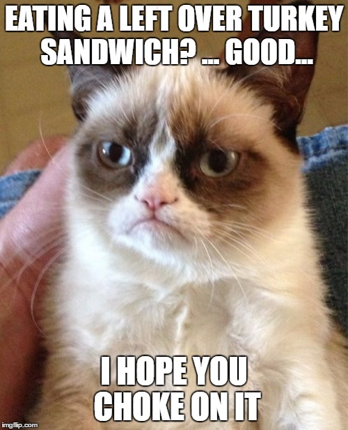 Grumpy Cat Meme Imgflip