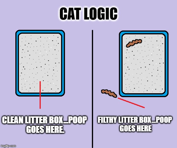 Cat logic Imgflip