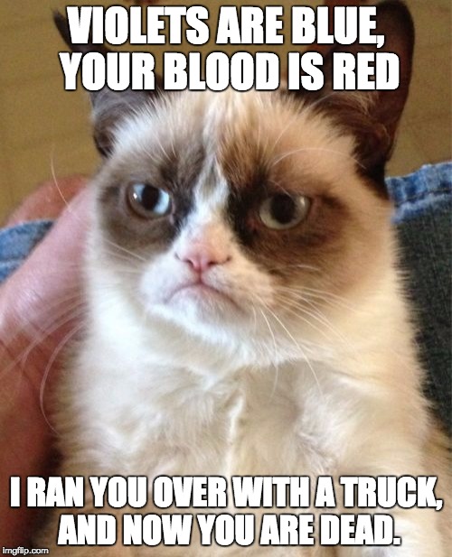 Grumpy Cat Meme Imgflip