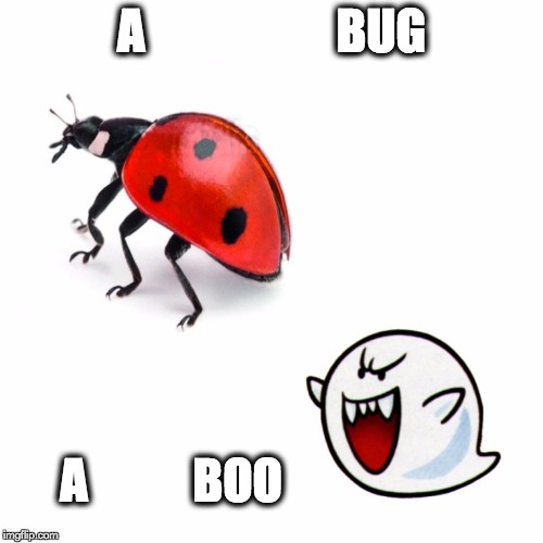 a bug a boo Imgflip