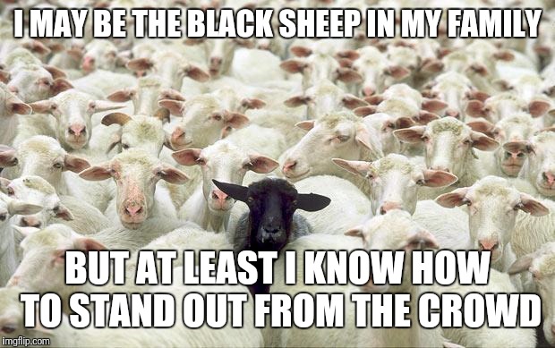 black sheep of the family meme Black Sheep - Imgflip