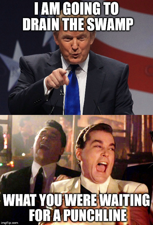 drain the swamp Imgflip