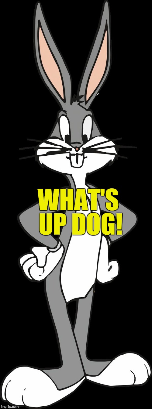 It Smells Like Up Dog In Here Imgflip